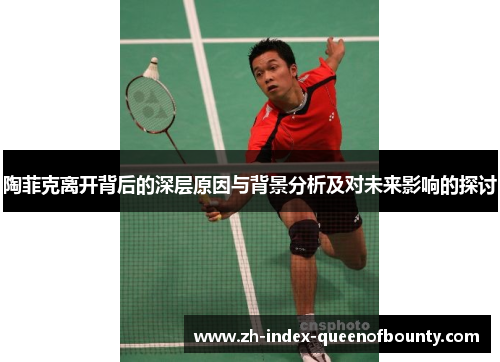 陶菲克离开背后的深层原因与背景分析及对未来影响的探讨